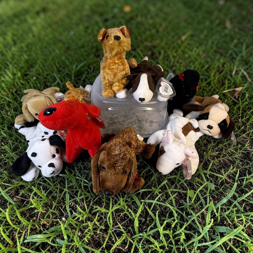 Ty Beanie Babies Dog Lot of 10 tagged vintage collectible plush